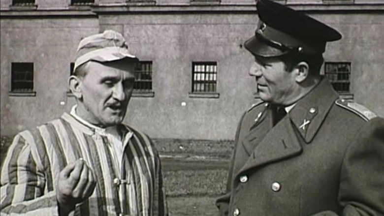 Ozvegy Menyasszonyok (1964)