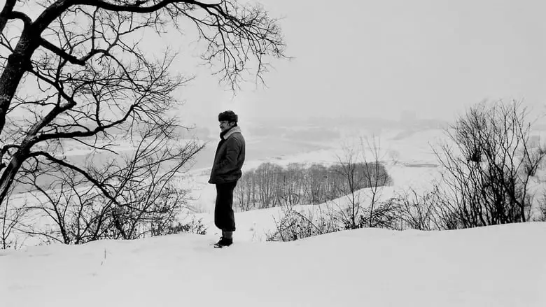 Andrey Tarkovsky. A Cinema Prayer (2019)