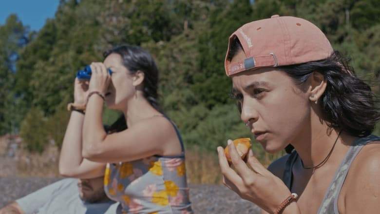 Pajaro Mono (2023)