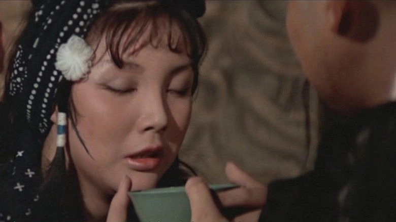 Feng Hua Xue Yue (1977)