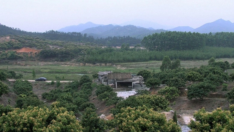 The Surroundings (2011)