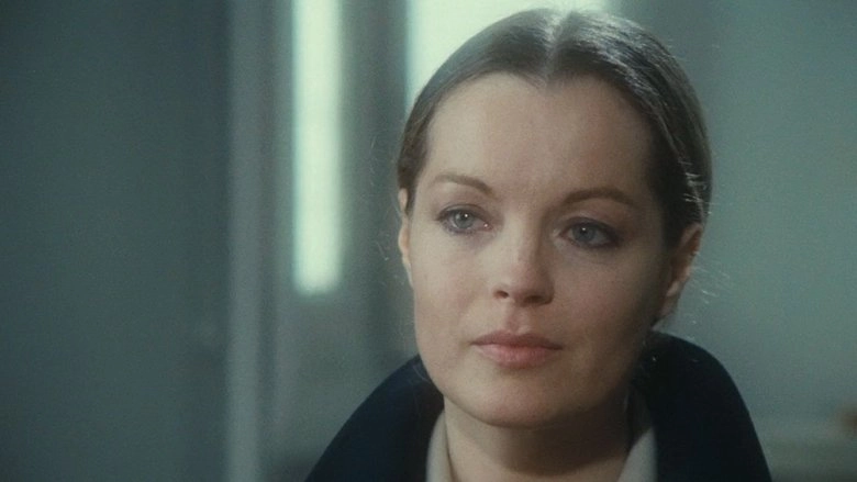 A Simple Story (1978)