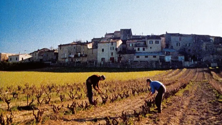 Les 4 Saisons D'Espigoule (1999)