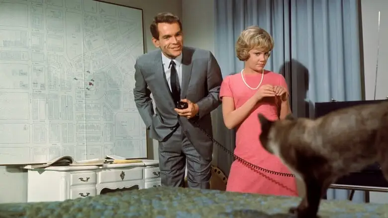 That Darn Cat! (1965)