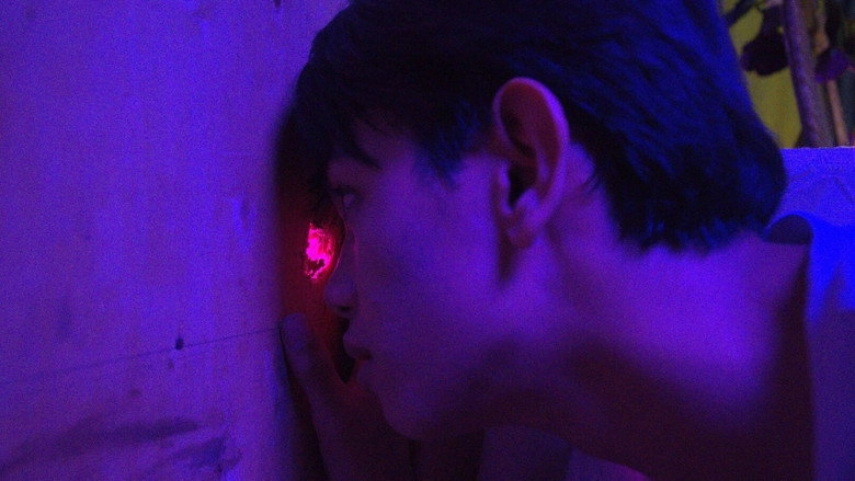 Never Knew Love Like This Before (2026)