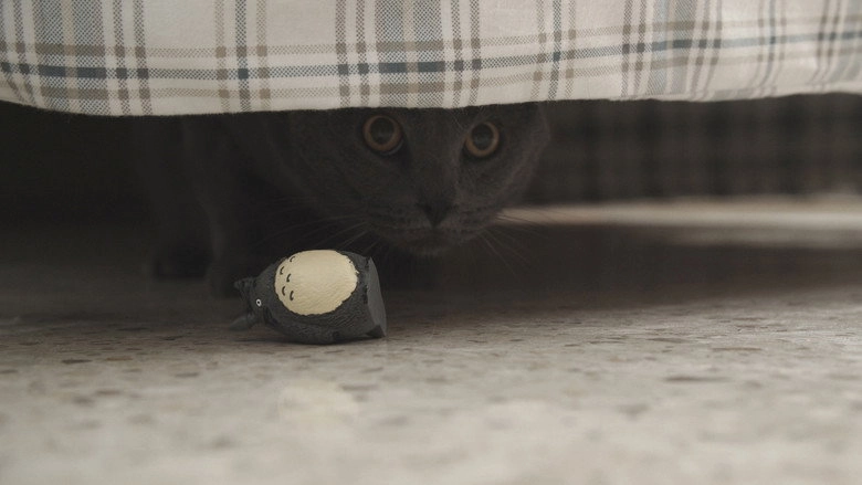 Nibbler (2021)