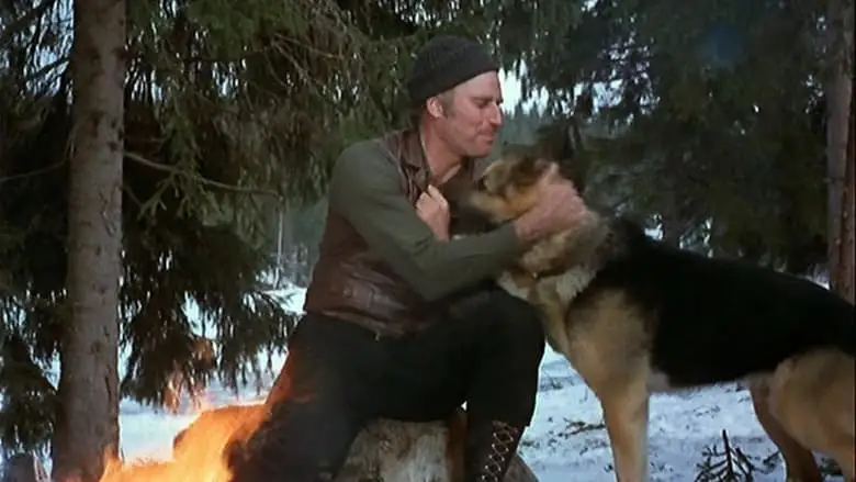 The Call Of The Wild (1972)