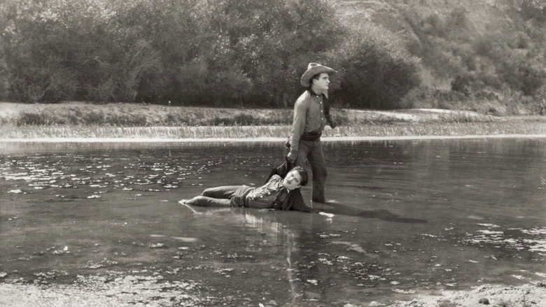 The Meddler (1925)