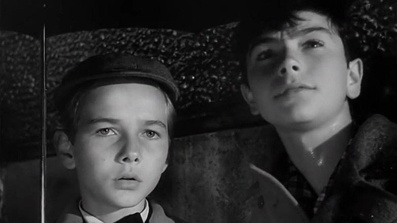 The Woman In The Painting (1955)