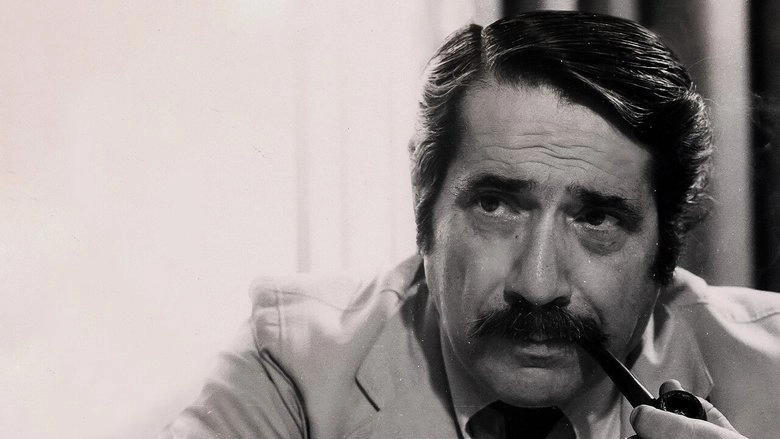 Ennio Flaiano, Straniero In Patria (2023)