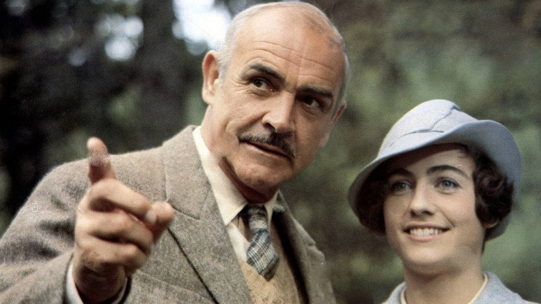 Five Days One Summer (1982)