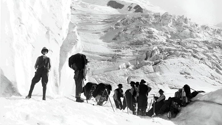 Les Lumieres De Vallot (2025)