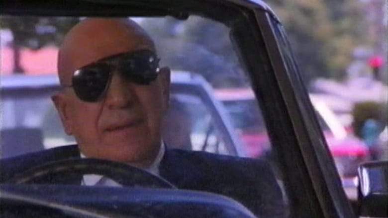 The Hollywood Detective (1989)