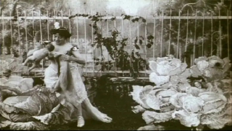 La Fee Aux Choux (1896)