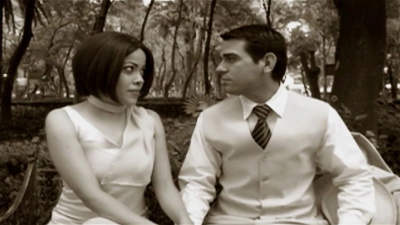 Un Aliado En El Tiempo (2008)