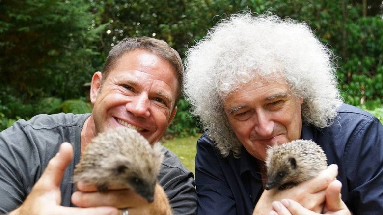 Meet The Hedgehogs (2017)