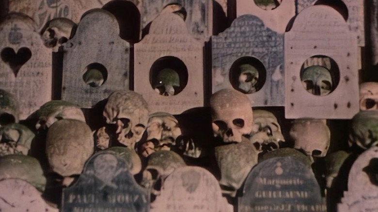 Faces Of Death II (1981)