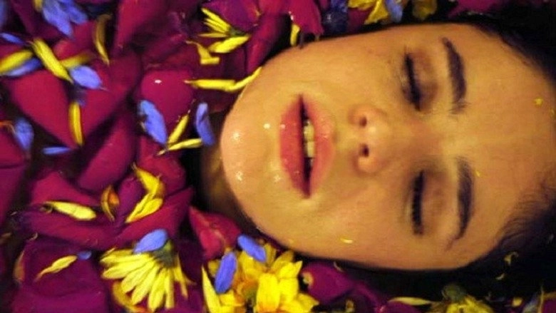 Violeta De Mil Colores (2005)