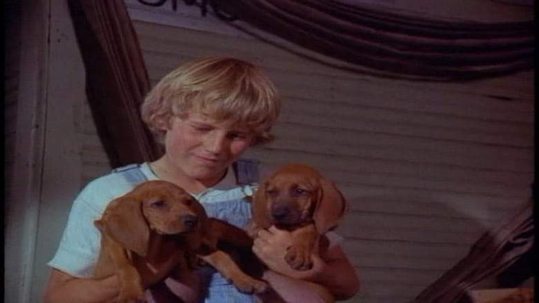Where The Red Fern Grows (1974)