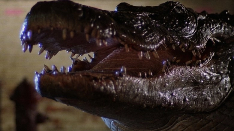 Alligator (1980)