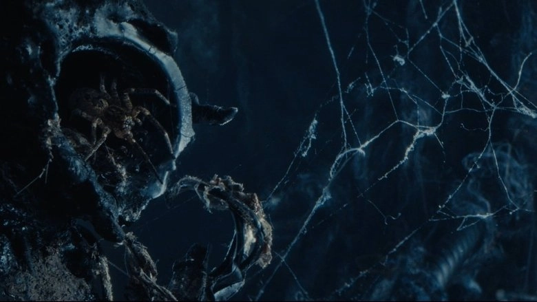 Atom & Void (2024)