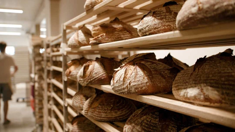 Brot (2020)