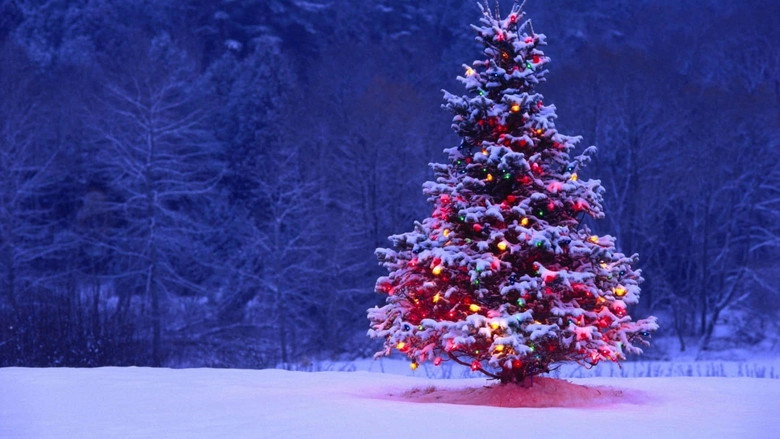 Canto Di Natale (2020)