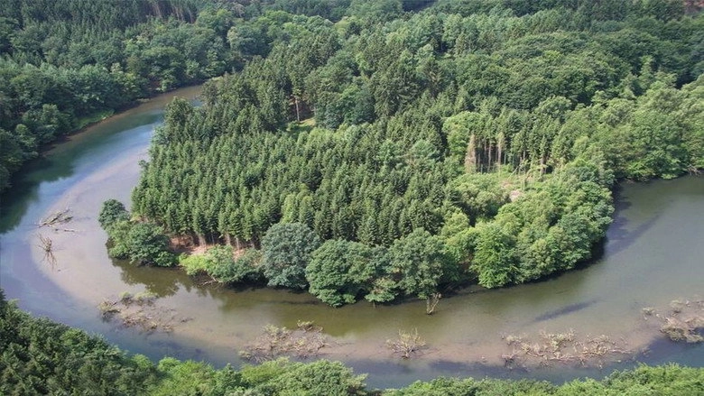 Die Wupper: Amazonas Im Bergischen Land (2017)