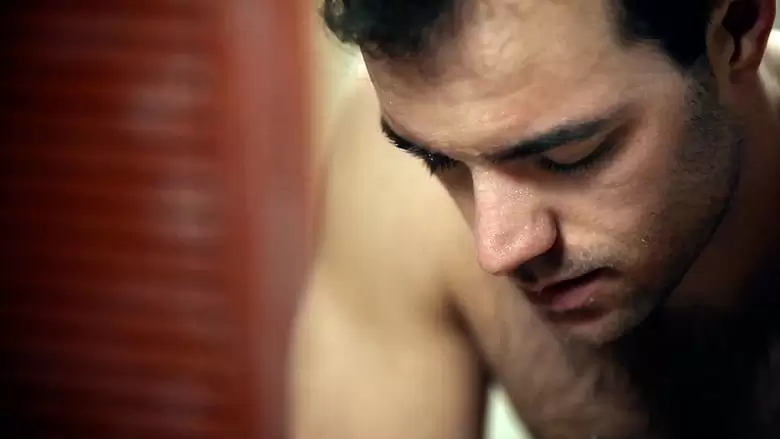 LIEB MICH! - Gay Shorts Volume 4 (2014)