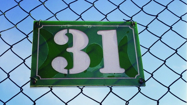 31 (2003)