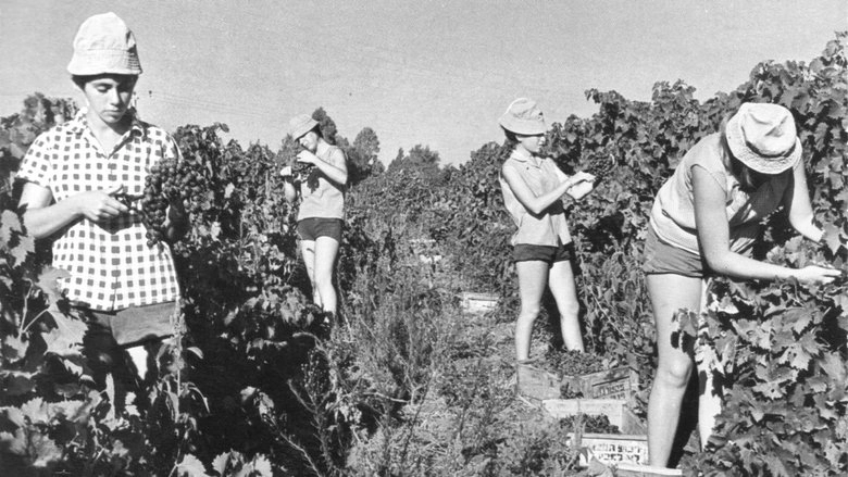 Generacio Kibbutz (2020)