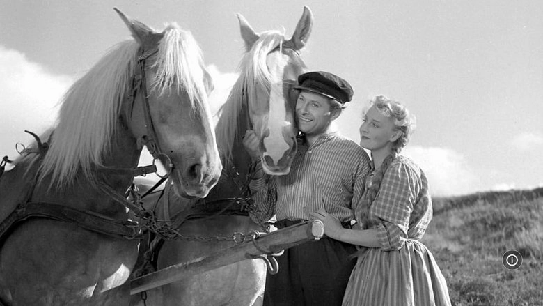 Husmandstosen (1952)