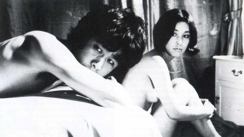 Diary Of A Shinjuku Thief (1969)