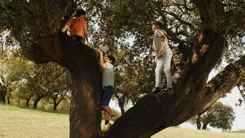 Sara, Manuel E Joao (2024)