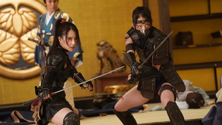 Ninja Wars: Blackfox Vs Shogun's Ninja (2026)