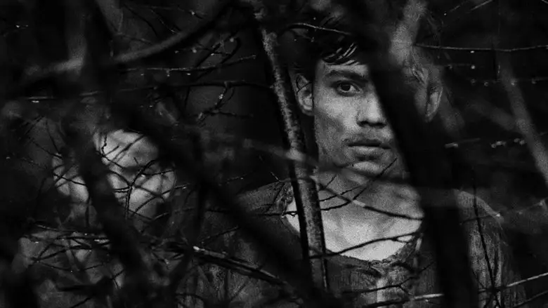 Diamonds Of The Night (1964)