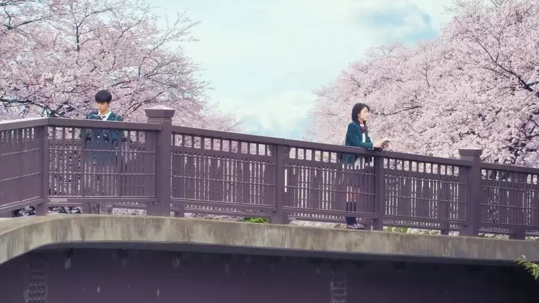 Let Me Eat Your Pancreas (2017)