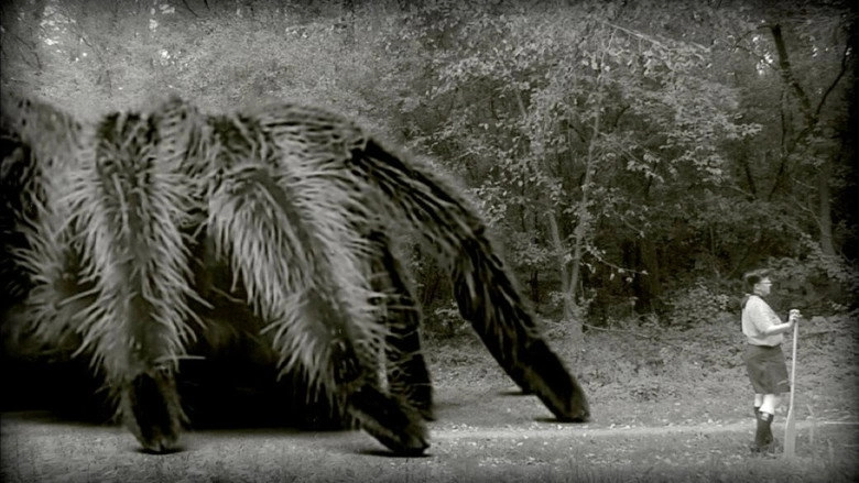 The Giant Spider (2013)