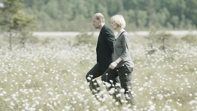 Landscape With Many Moons (2014)