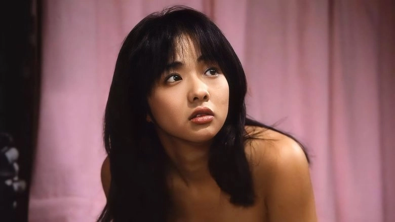 Pink Curtain 3 (1983)