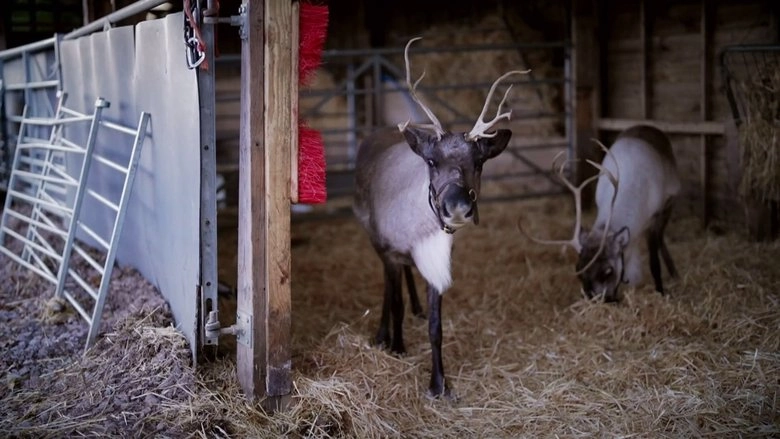 Christmas In The Cotswolds (2023)