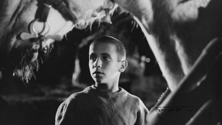 Chronicle Of A Boy Alone (1965)
