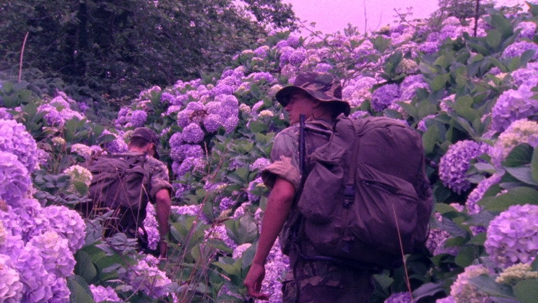 Flores (2017)