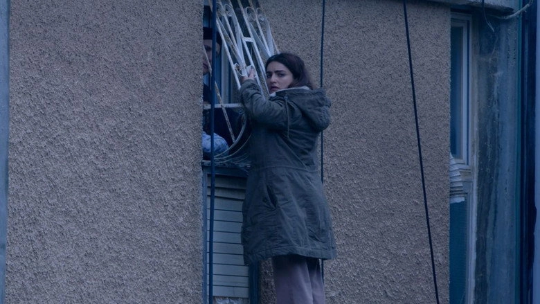 A Quiet Heart (2016)