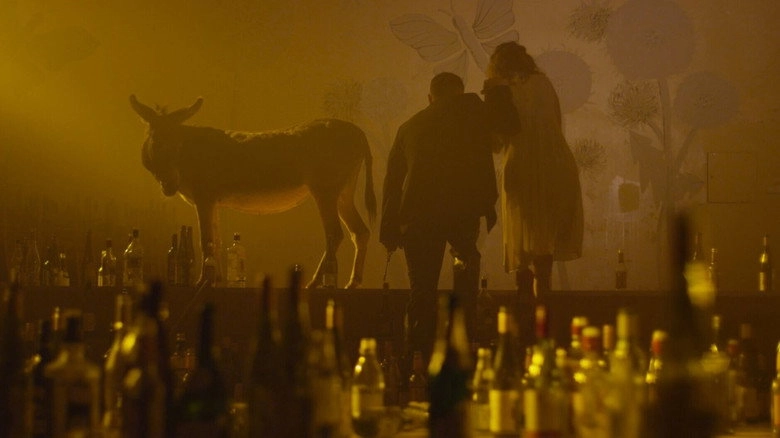 I Shall Return As A Flaming Rose (2014)