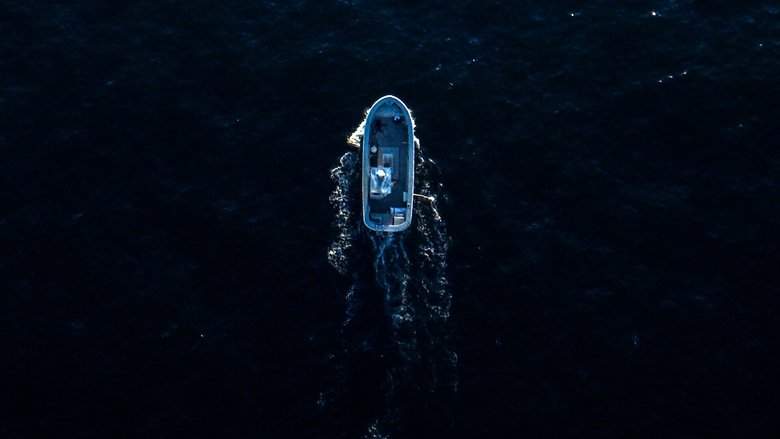 The Carman Family Deaths (2025)