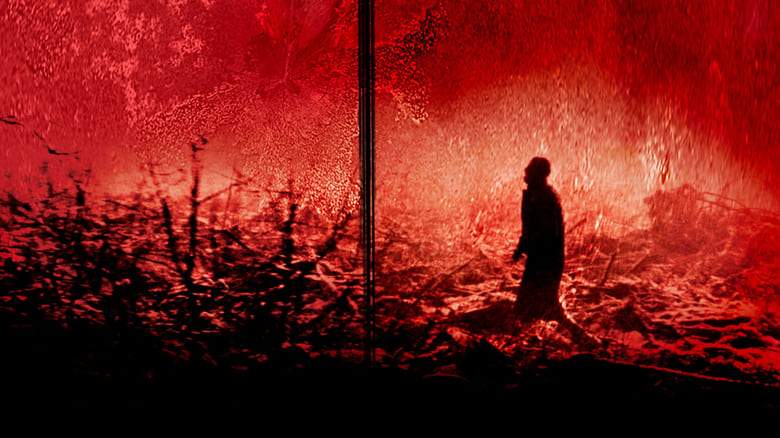 Calvaire (2005)