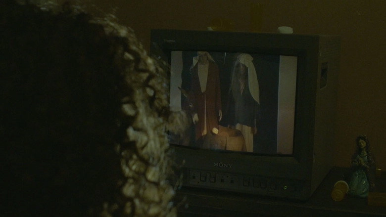 Immaculate Perception (2025)
