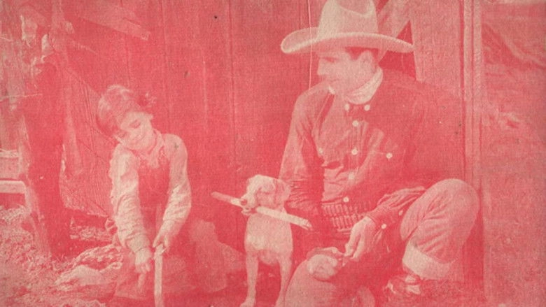 The Wyoming Wildcat (1925)