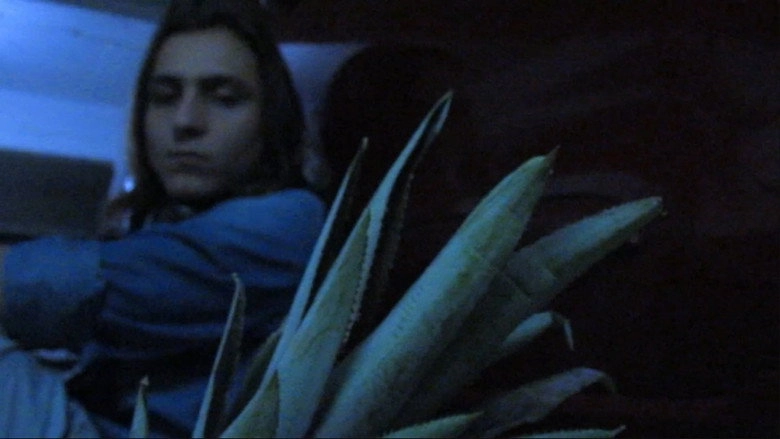 Pinata (2018)